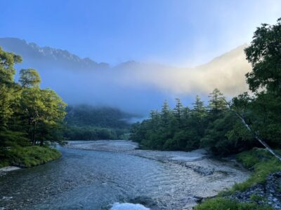 ホームページリニューアルのお知らせ