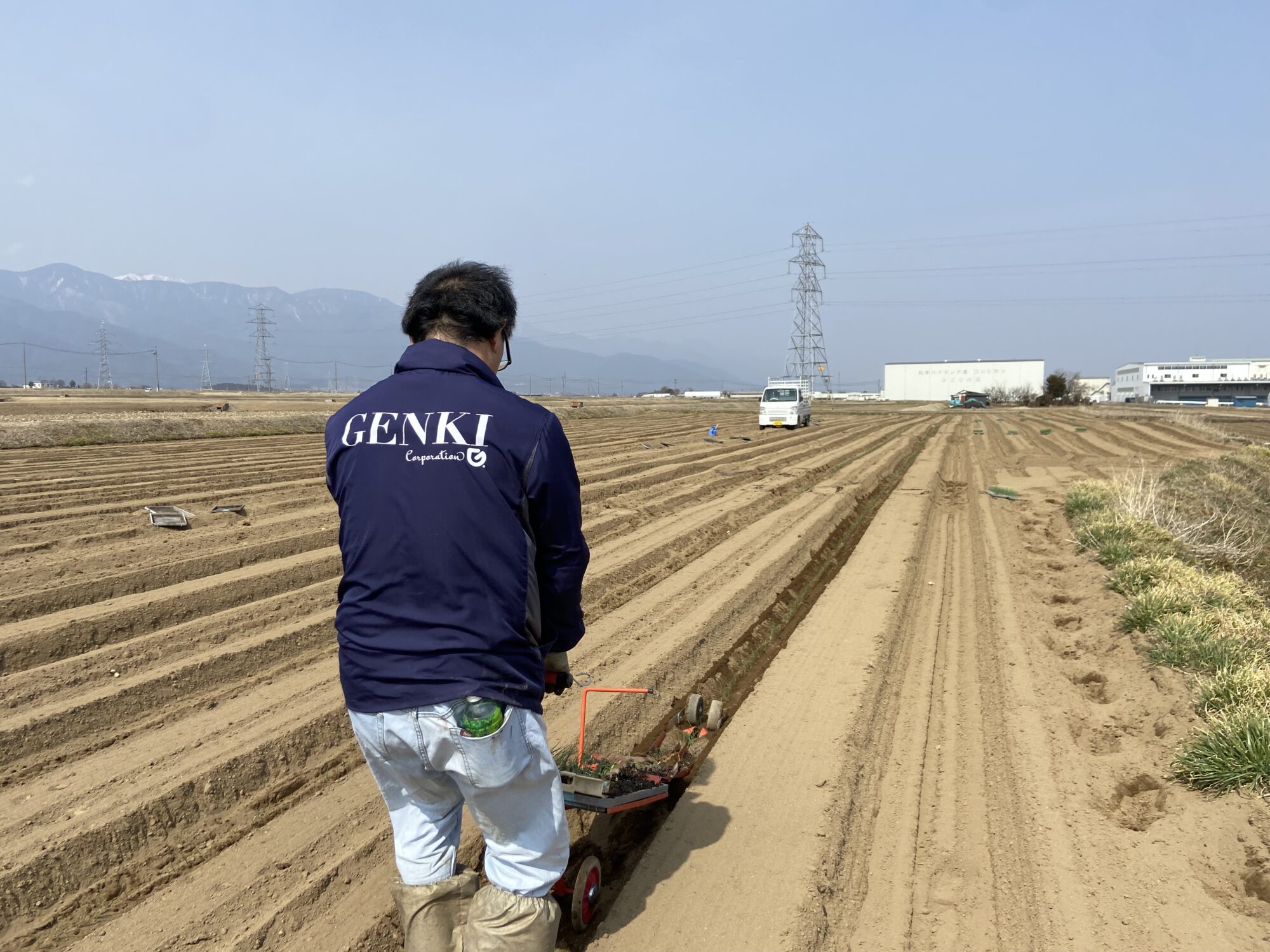 ネギの定植　2023年