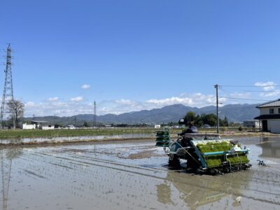 2023年田植えが始まりました
