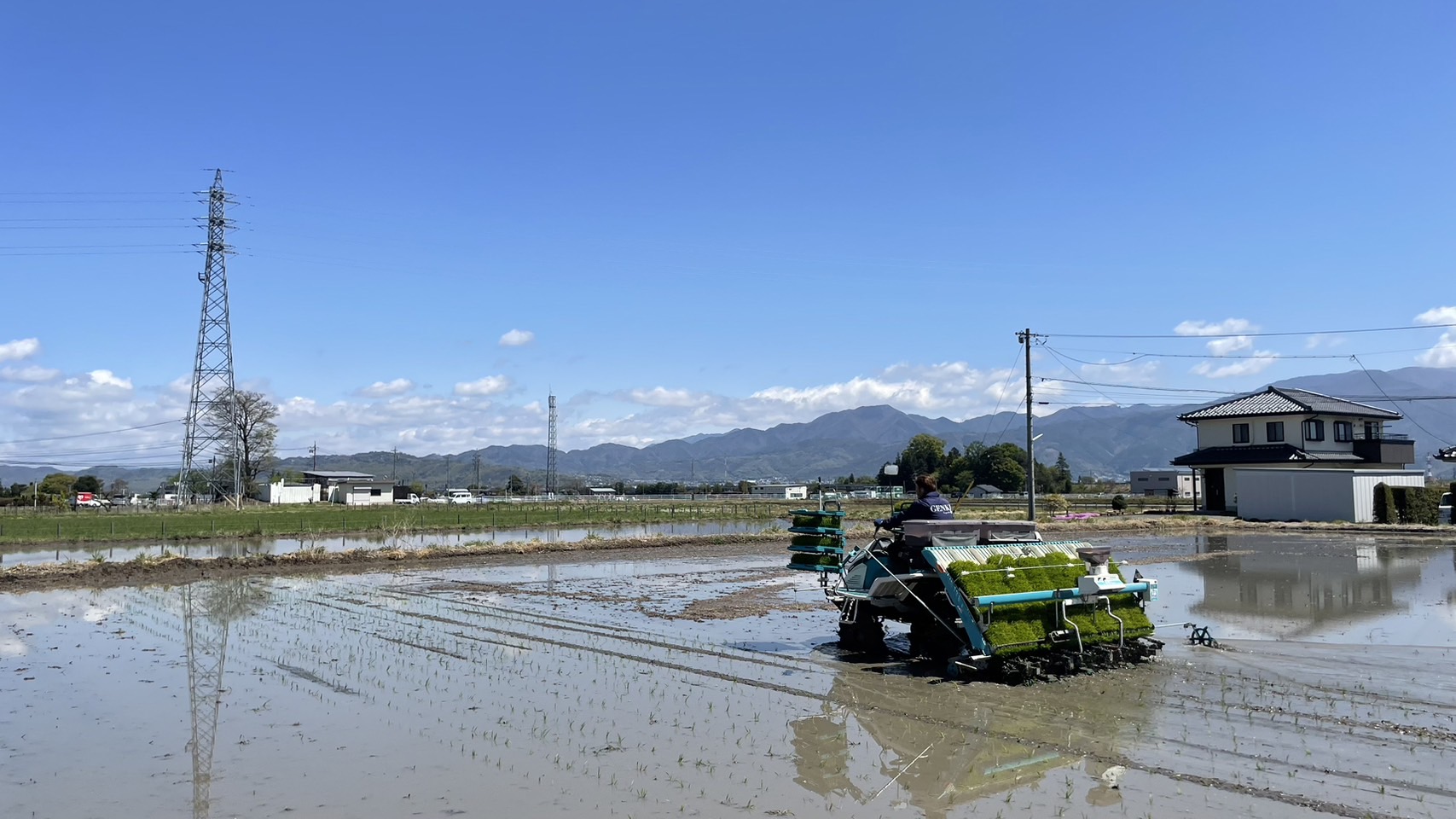 2023年田植えが始まりました
