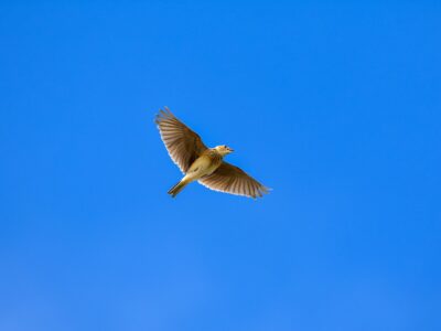 梅雨の晴れ間のある日・・
