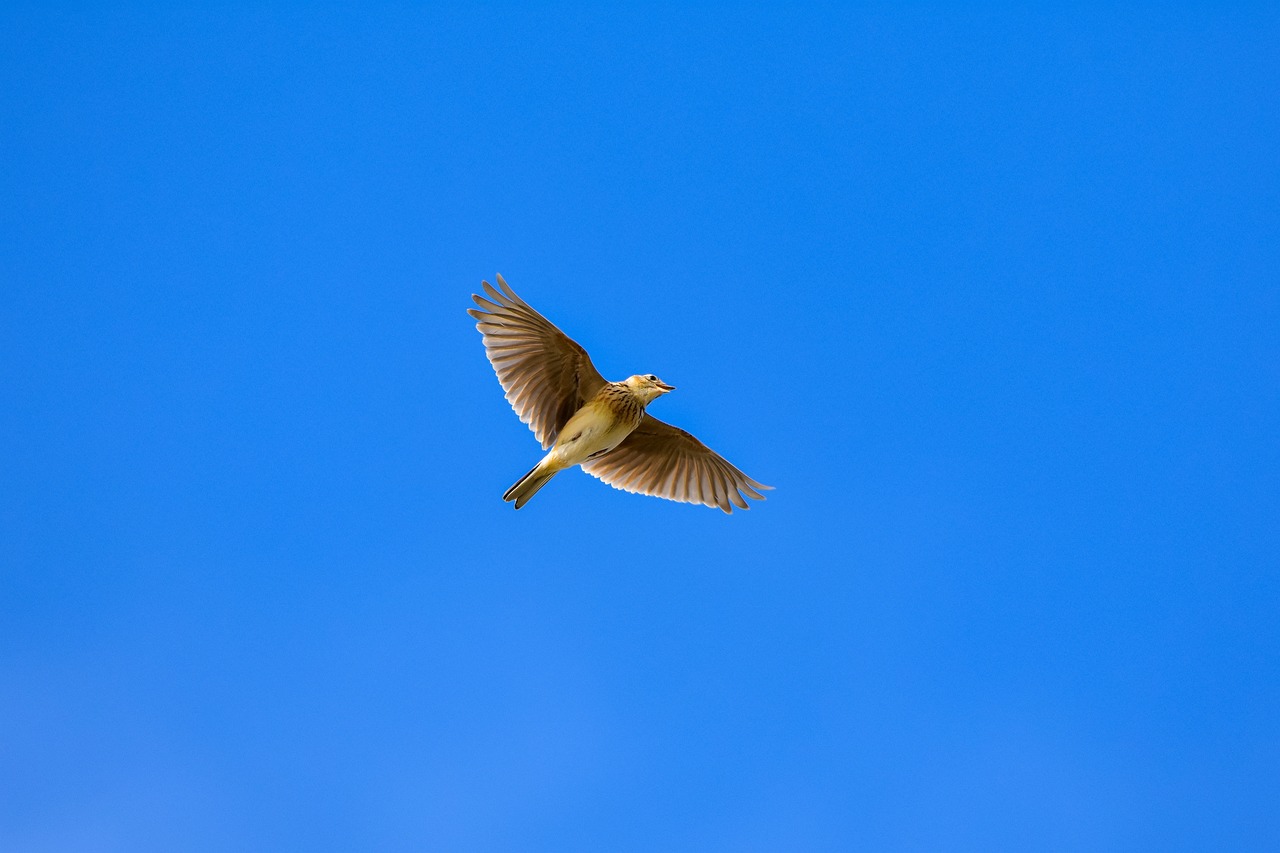 梅雨の晴れ間のある日・・