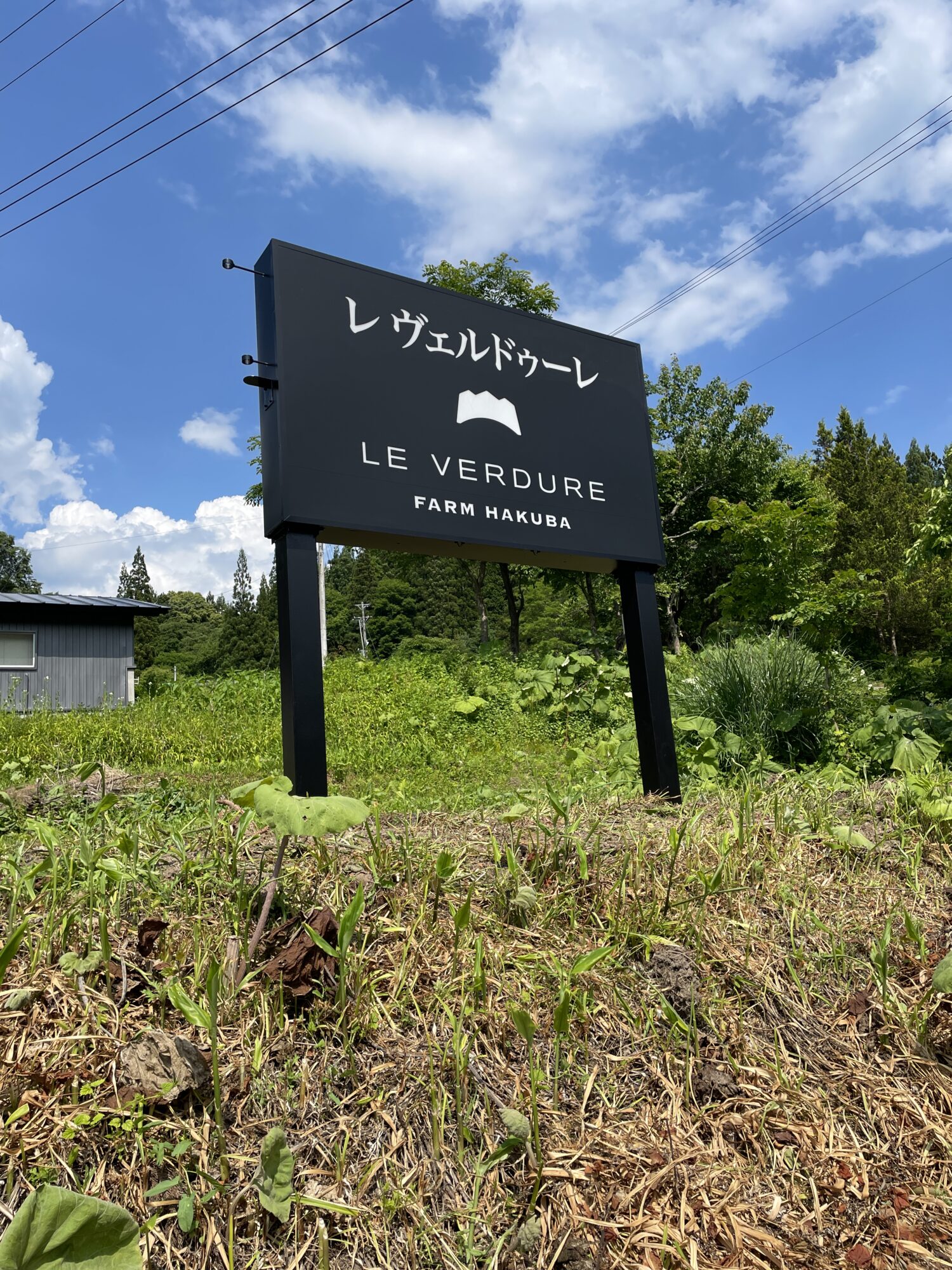 白馬農場がオープンさせたイタリアンが話題！