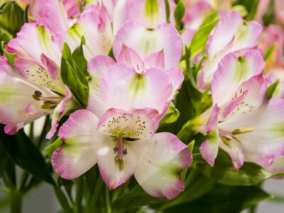 新たな取り組み