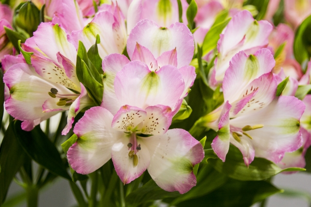 新たな取り組み