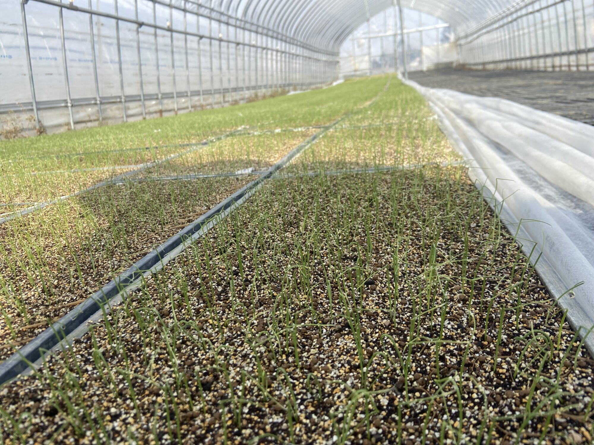 新たな取り組みパート２