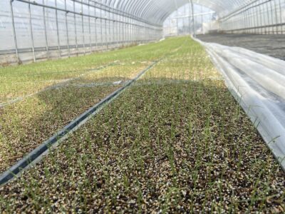 新たな取り組みパート２